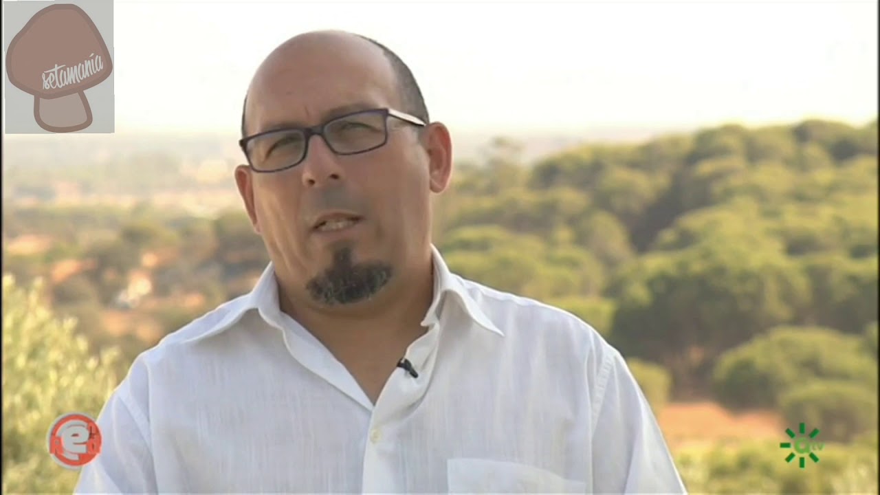 Setamania App: La Aplicaci&oacute;n M&oacute;vil Imnovadora Seleccionada por el Programa @Enred de Canal Sur TV.