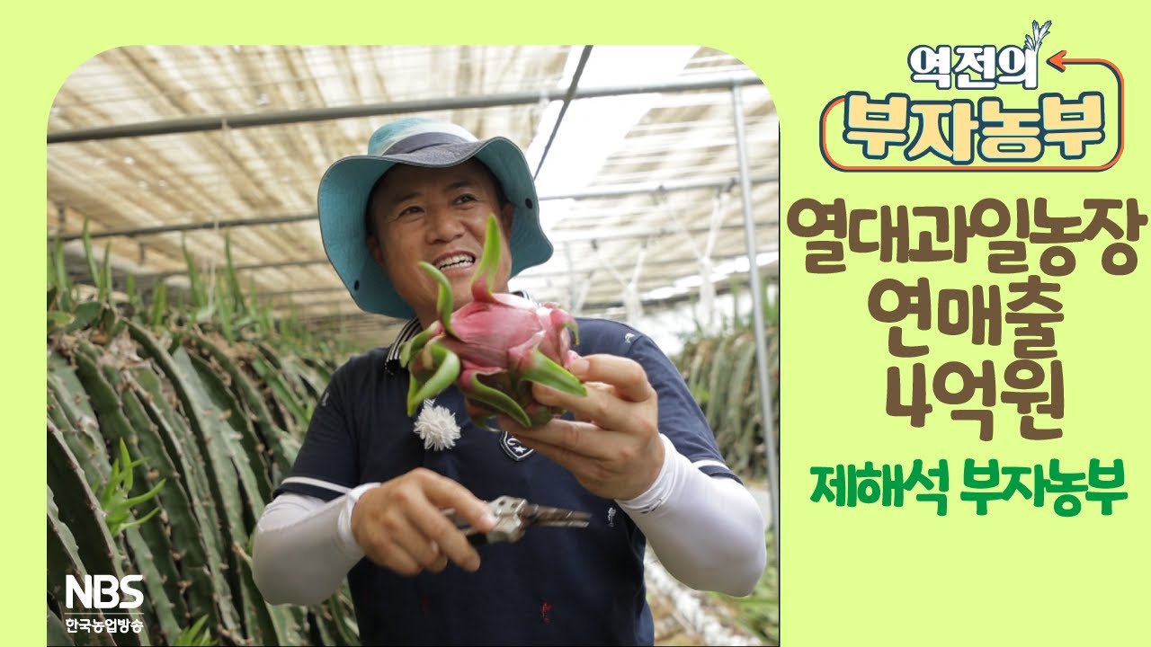 [역전의 부자농부 212회] 열대과일 농장 운영으로 연 매출 4억 원! 경남 통영 제해석 부자농부