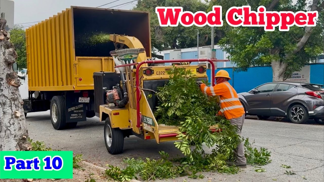 WOOD CHIPPER in Action (Part 10/13)｜Tree Trimming Crew (Tree Surgeon) At Work