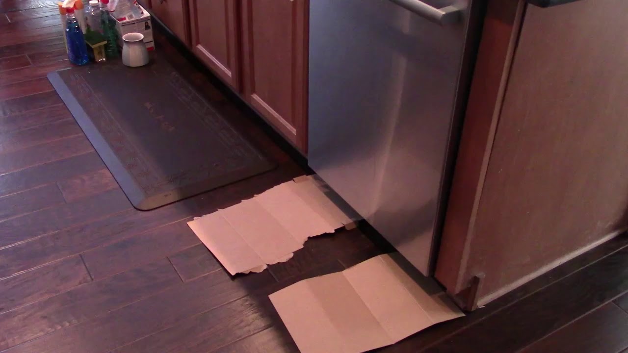 Bosch Dishwasher Door Spring Repair - Worst Dishwashers