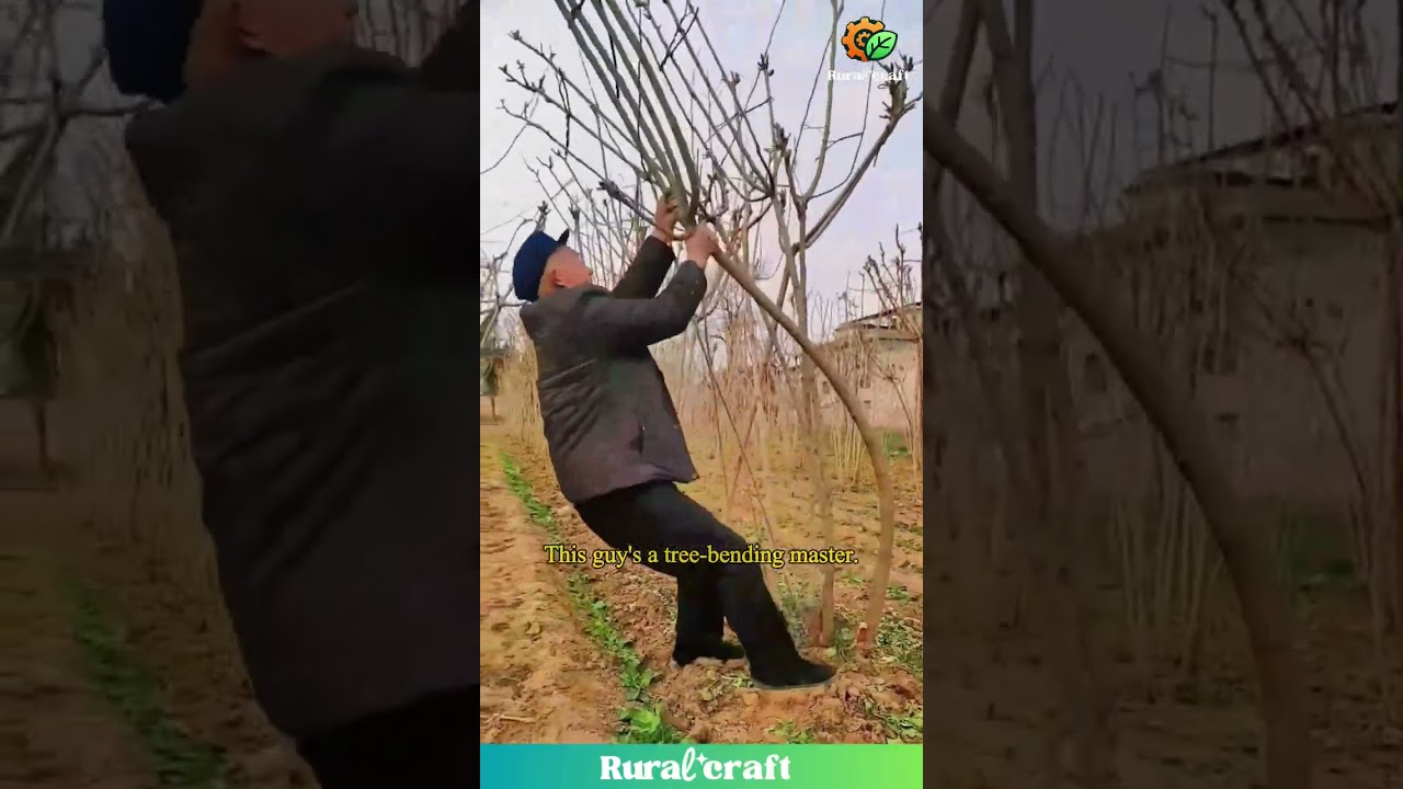 This Farmer's Tree Bending Skills are NEXT LEVEL #farming #diy #skills
