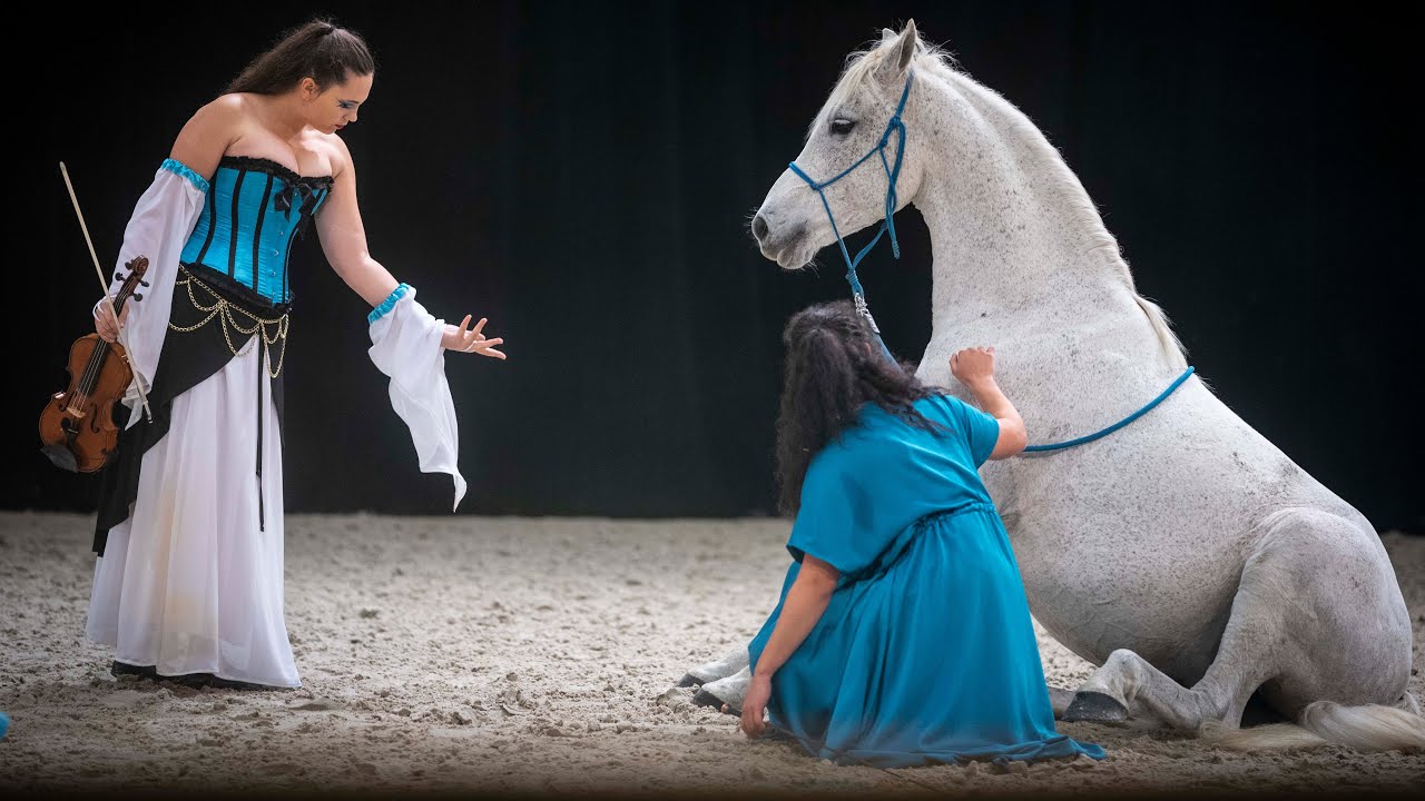 VLOG | On découvre le Salon du Cheval d'Angers !