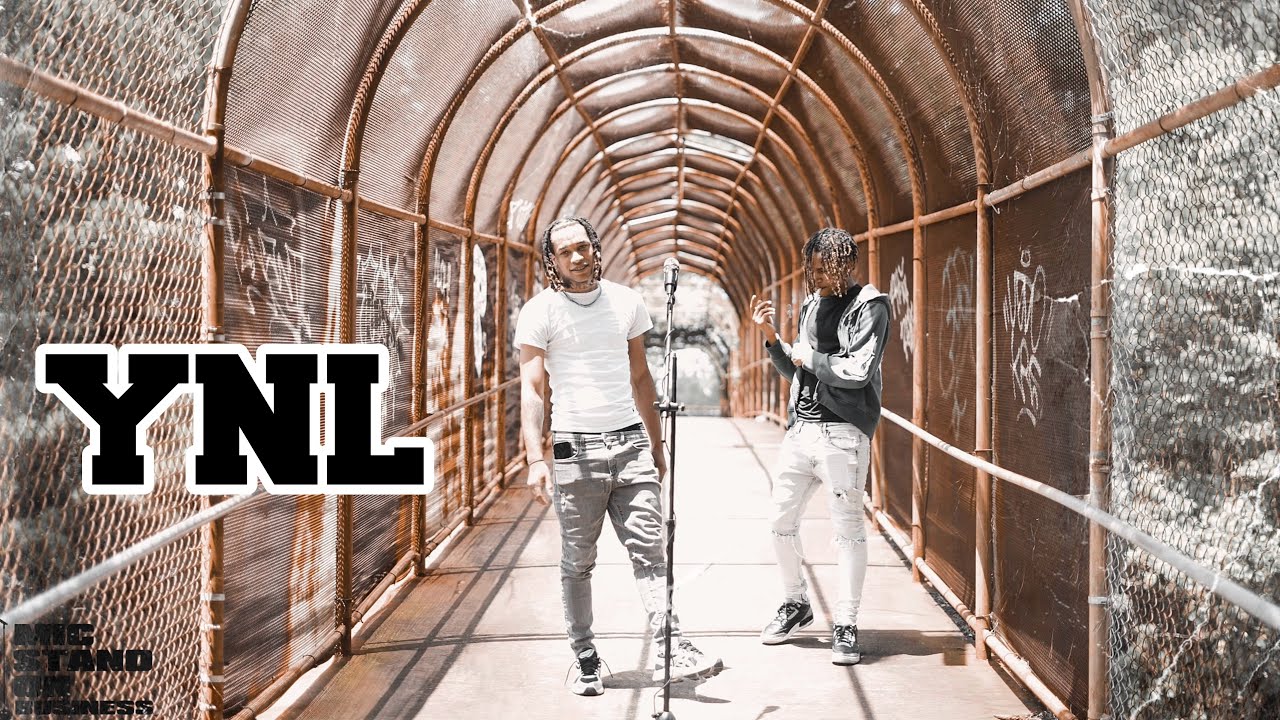 YNL - 