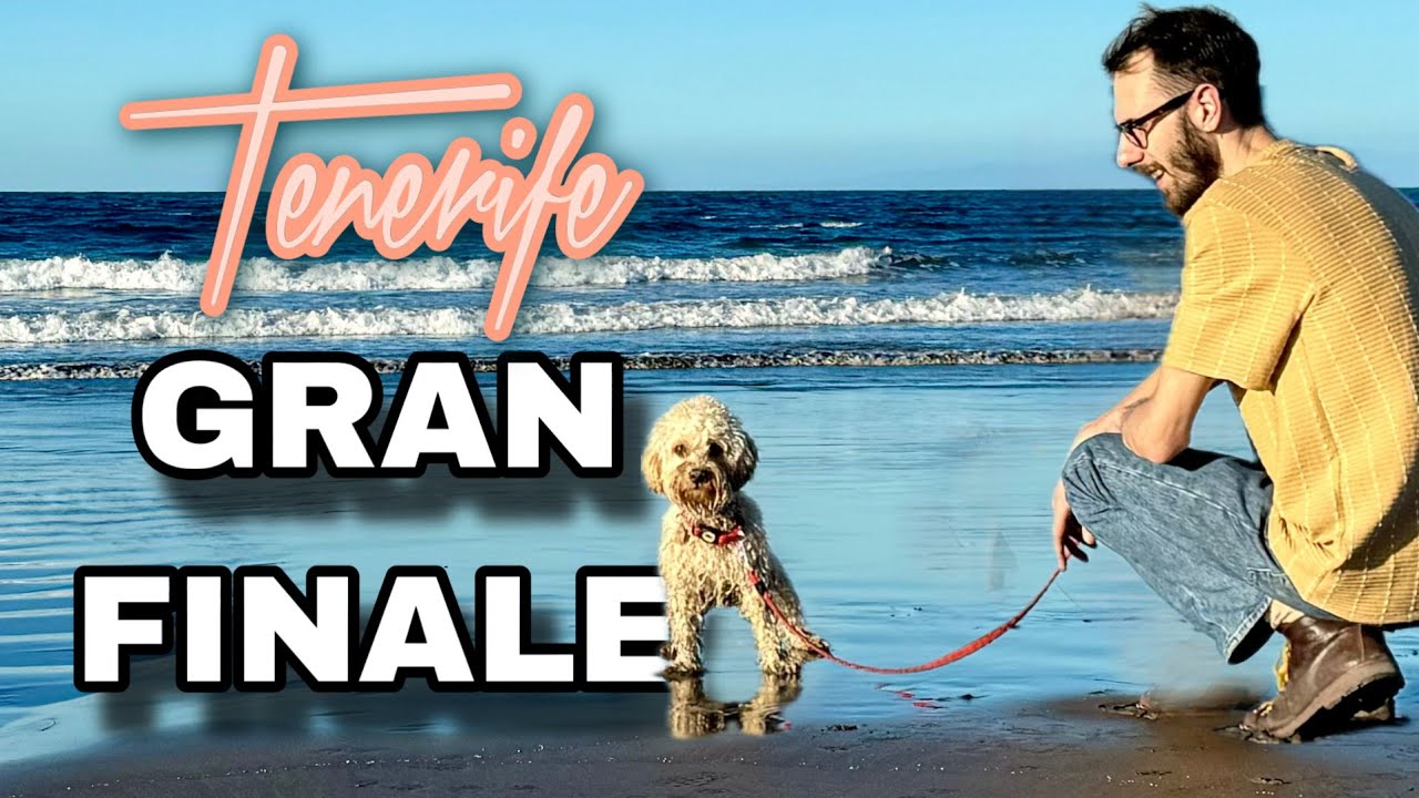 Troveremo un finale a Tenerife? - Il Perrito Bonito - CHICO