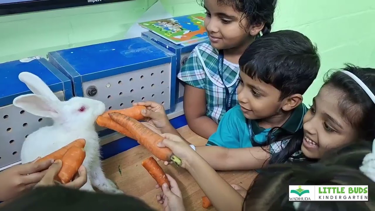 Experiential Learning || Little Buds Kindergarten || Progressive English School
