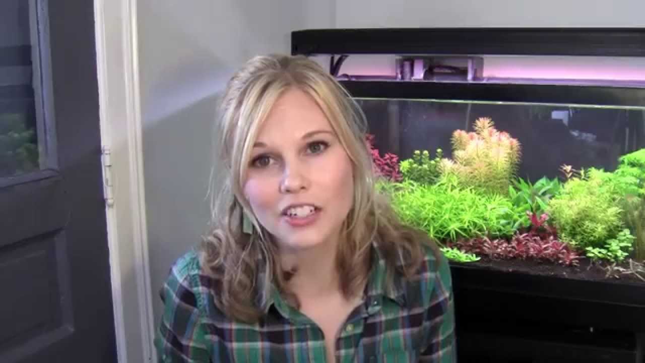 Using a Water Changer and Pond Pump to do Water Changes