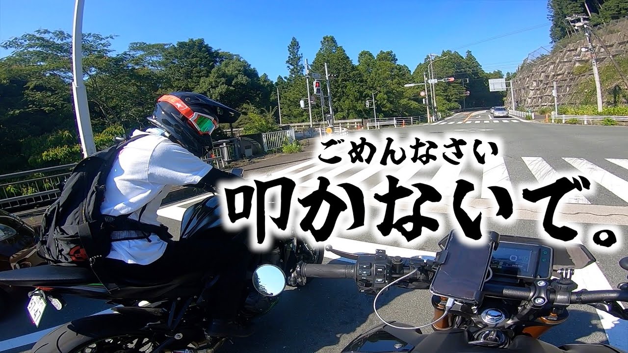 叩かないで。なにやらひどく怯えているようです。【浜名湖ツーリングpart3】