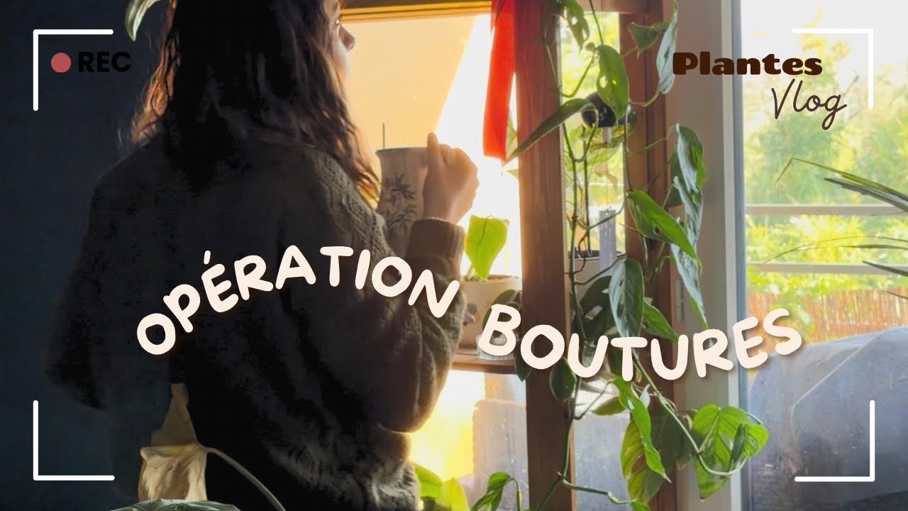 Vlog Plant Addict : on s&rsquo;occupe de mes boutures (j&rsquo;ai ai beaucoup trop&hellip; 🫠) 