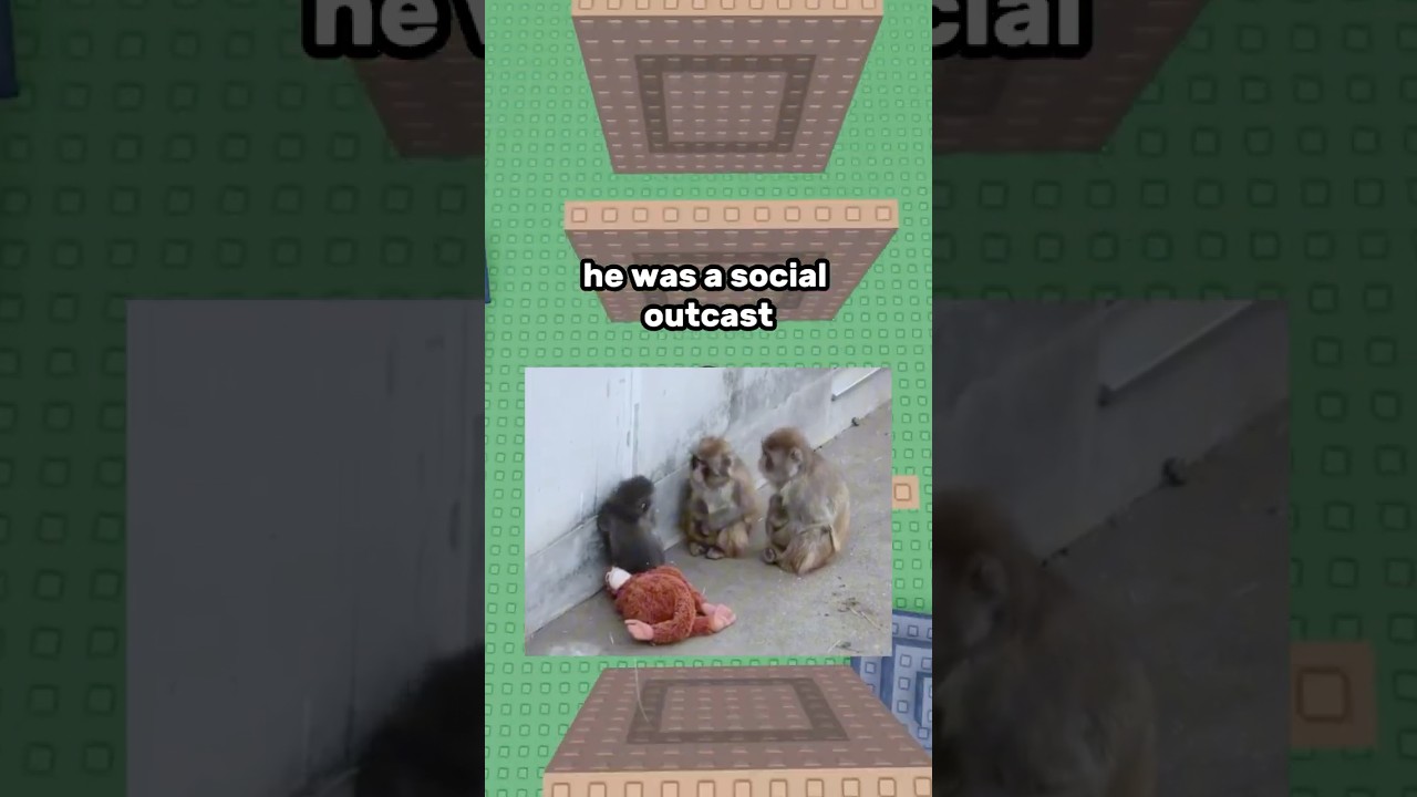 PUNCH THE MONKEY 🐒#shorts #roblox #robloxrant #rblx #relatable
