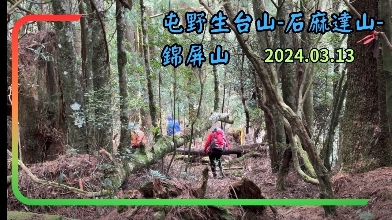 屯野生台山-石麻達山-錦屏山連走來回 2024.03.13