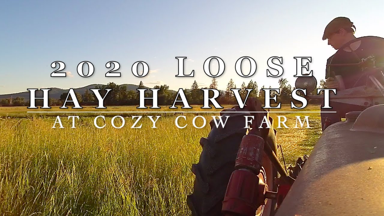 No Baler? No problem! Small Farm Loose Hay, Year 4.