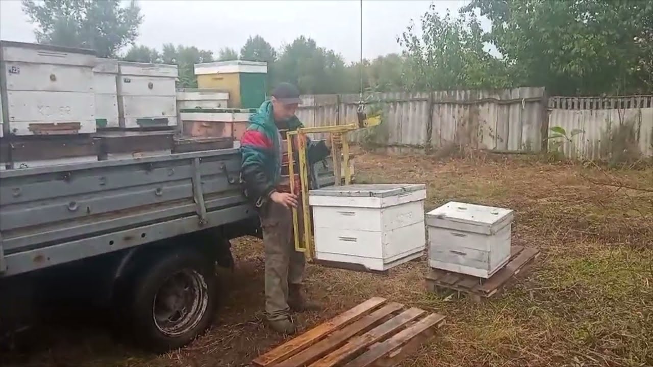 Манипулятор для погрузкы ульев в работе