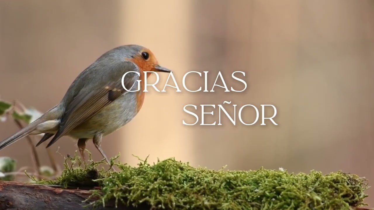 LA GRANDEZA DE DIOS - Mary T. Pérez (compositora)