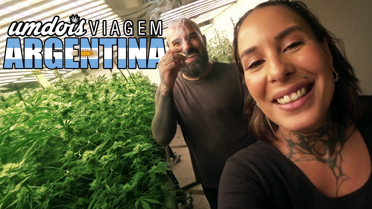 Visitei uma PLANTA&Ccedil;&Atilde;O de MAC0NHA na ARGENTINA! umdois Viagem