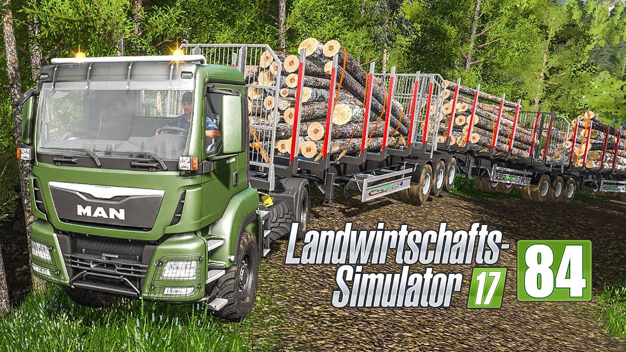 LS17 Forst #84 - Hackschnitzel zur Sicherung! I LANDWIRTSCHAFTS-SIMULATOR 17