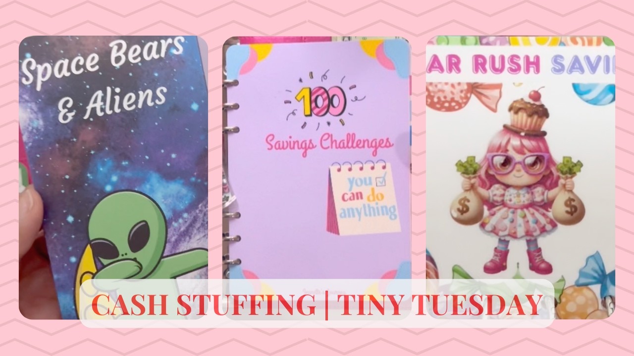 Cash Envelope Stuffing | 100 Envelope Binder | Tiny Tuesday