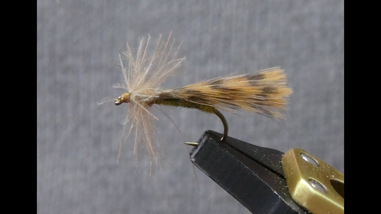 Montage de mouches : le sedge bécasse