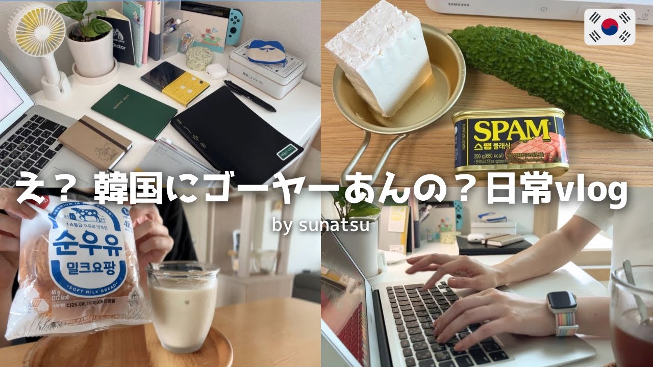 【vlog】韓国でゴーヤーチャンプルー作った韓国に住む沖縄人の日常ブイログ（日韓夫婦）