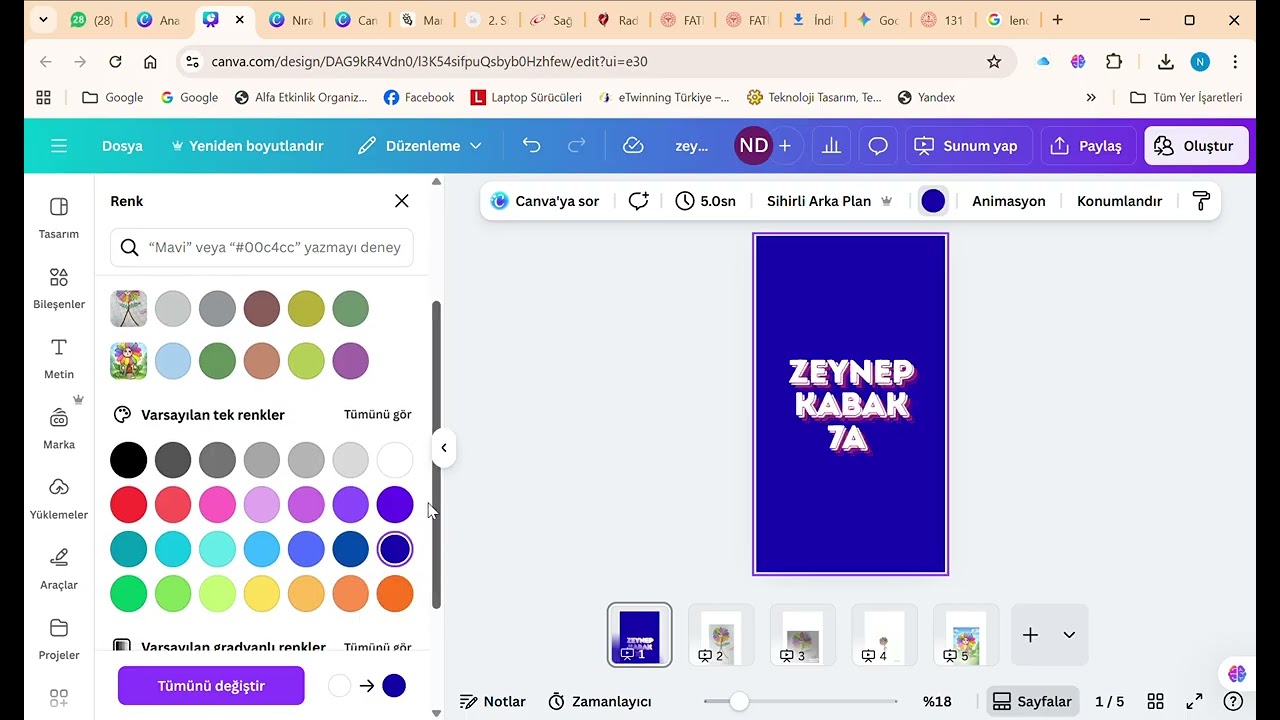 canvada karakter evi