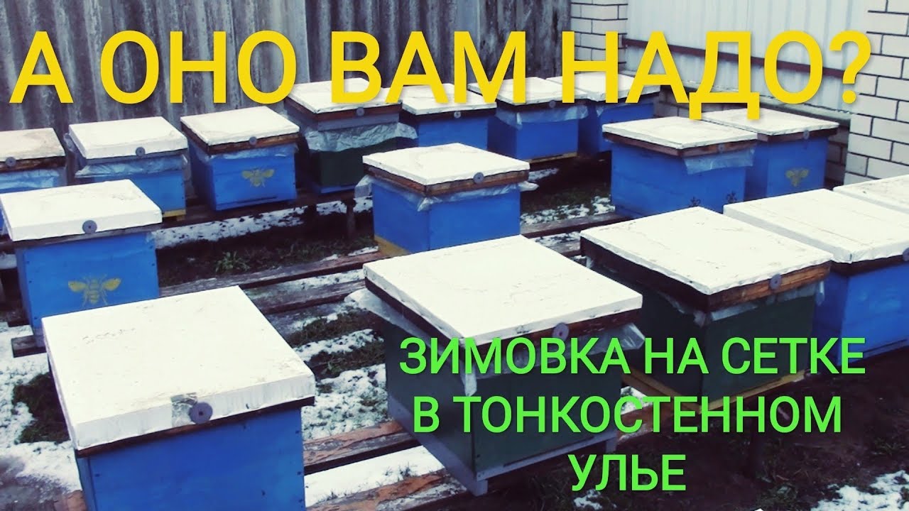 ВОТ И ДУМАЙ,стоит ли зимовать на сетке со стенкой 22мм?!