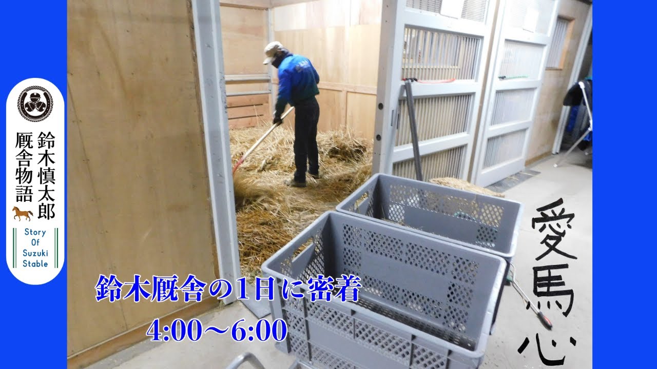 【鈴木慎太郎厩舎物語】#8  鈴木厩舎の1日　4：00～6：00