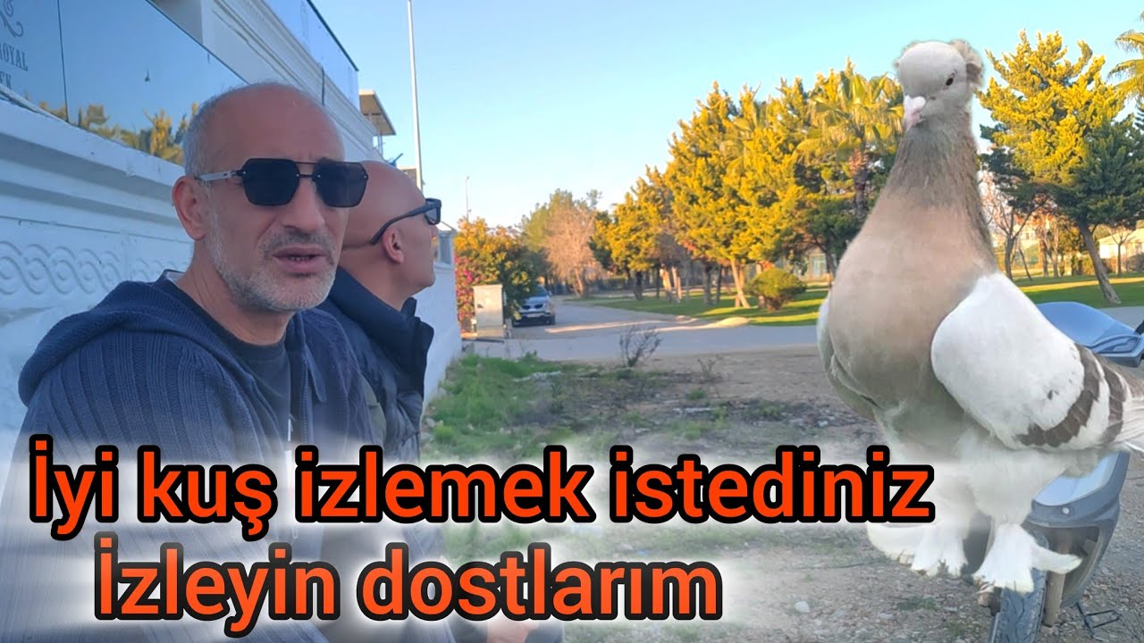 TABAN SEFER SES NE LAZIMSA VAR BU KUŞTA