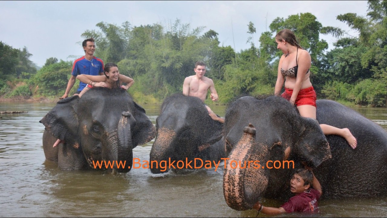 Elephant Bath Amazing Day! with Bangkok Day Tours!