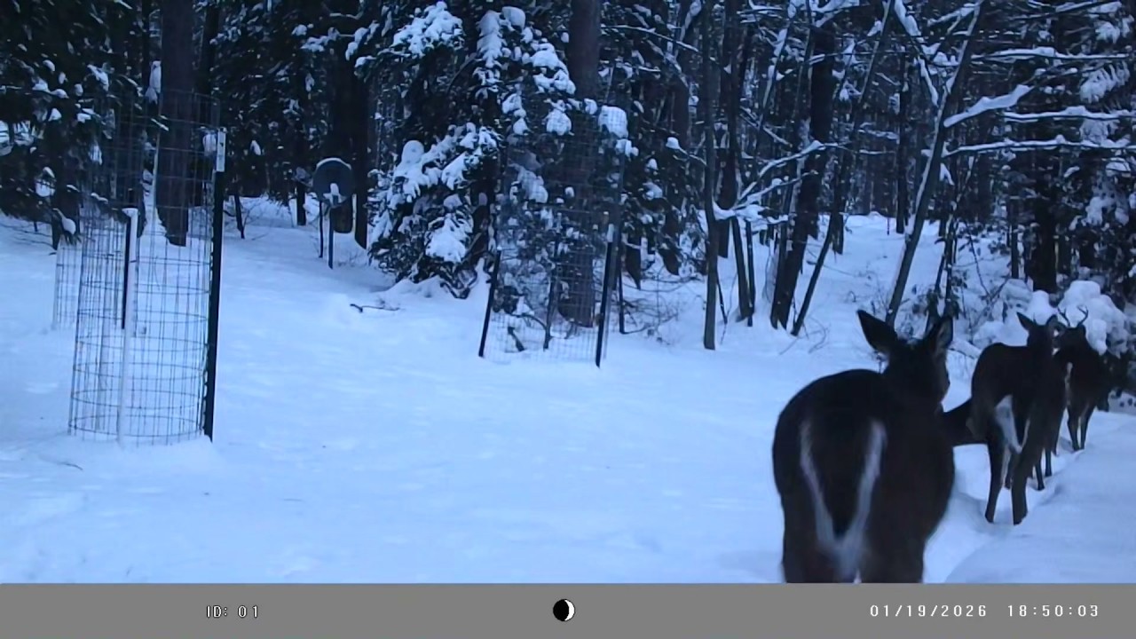 20260118 184737 Trail videos spedup4x