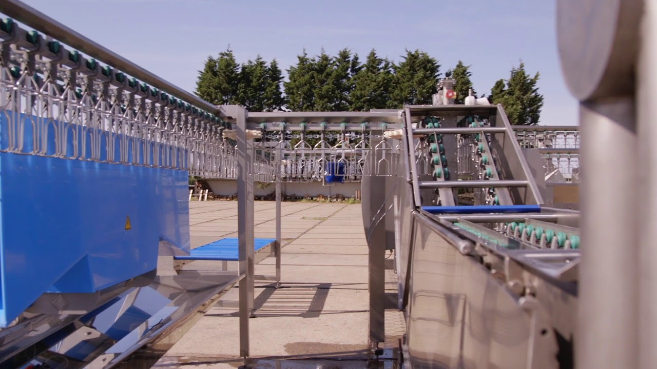 Dutch Poultry Tech's smart compact 500 - 1000 bph Pluck and Play poultry processing solutions