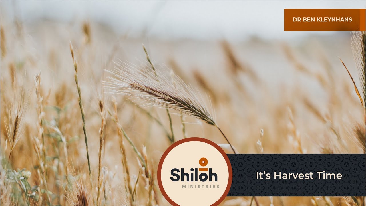 11 June 2023 - Dr Ben Kleynhans: It's Harvest Time