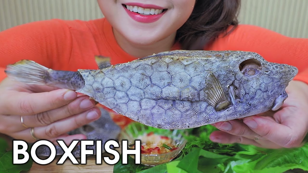 ASMR EATING GRILLED BOXFISH,EXOTIC FOOD,EATING SOUNDS | LINH-ASMR