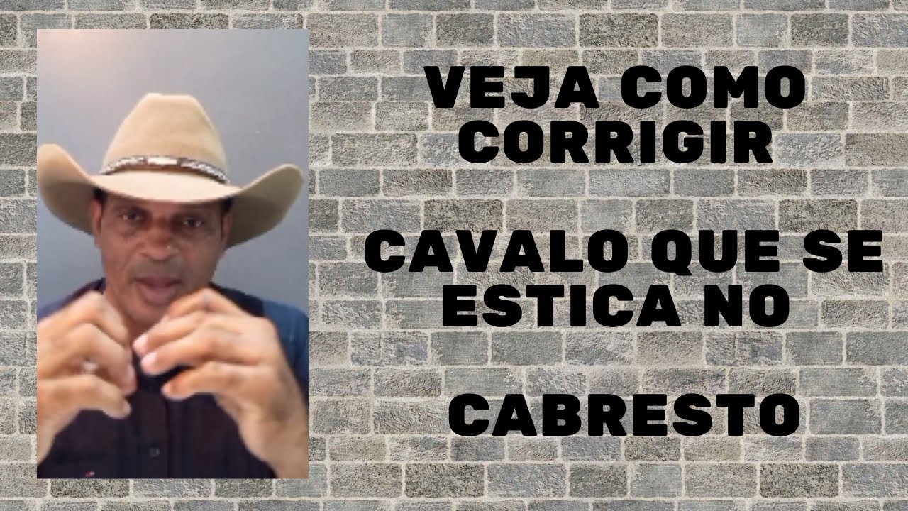 Veja como &eacute; facil corrigir cavalo que se estica no cabresto