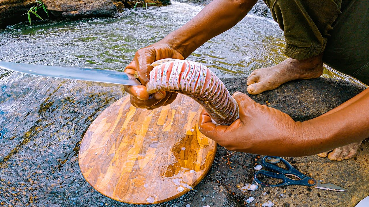 USEI ARMADILHA - PESCAMOS TRAIRA - Preparei na cachoeira