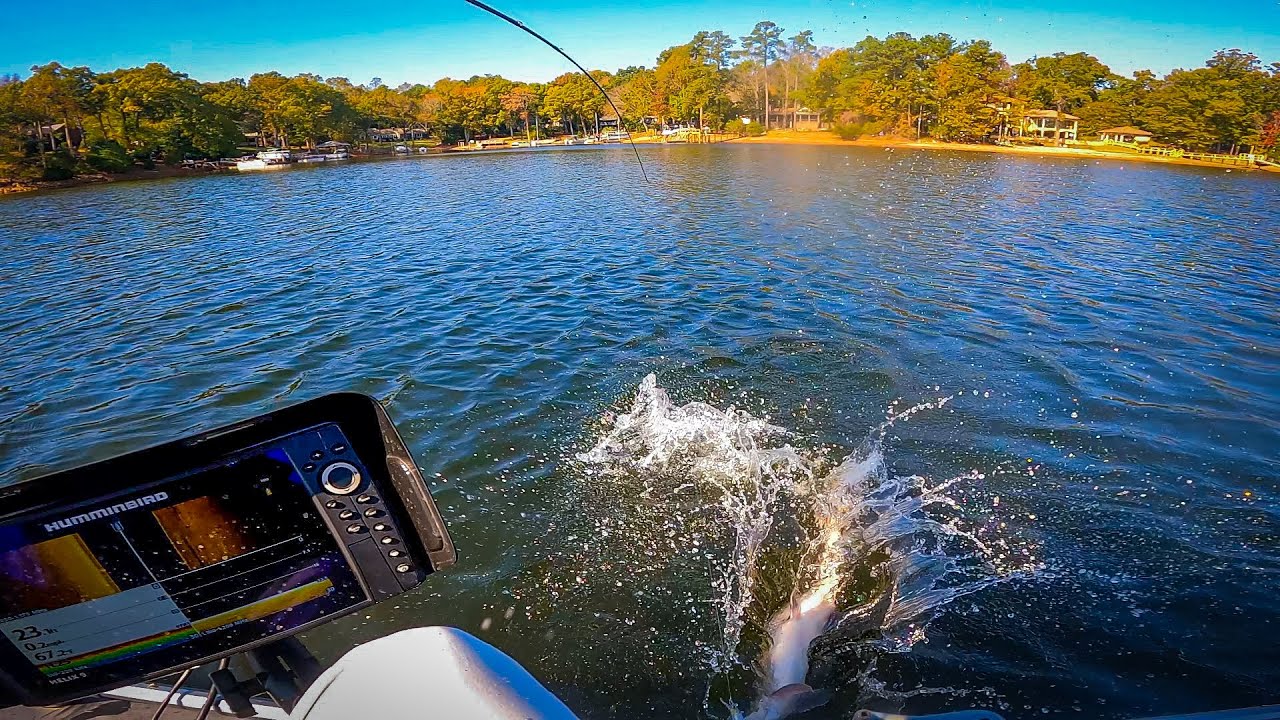 We Finally Made Our First Trip To Lake Murray | Kayak Bass Fishing