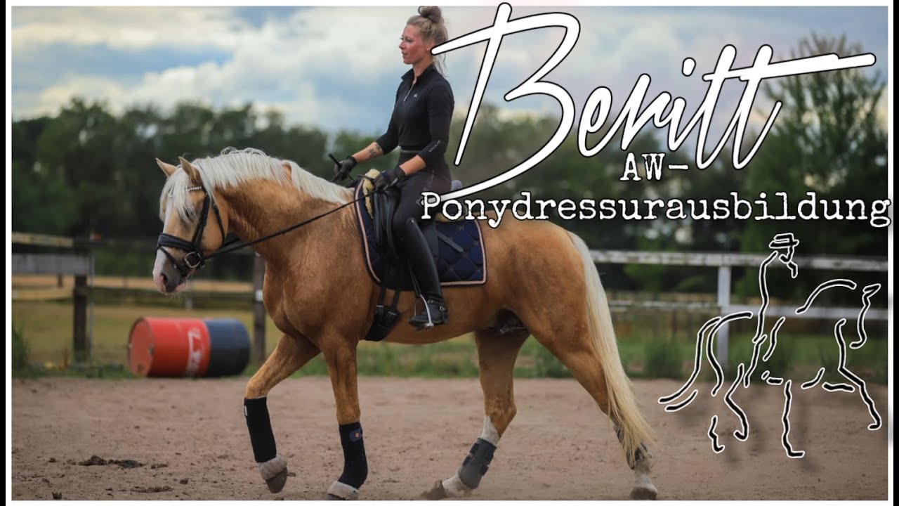 MEIN PONY IM BERITT 🐴  - PART II / ASKINO CONSAS