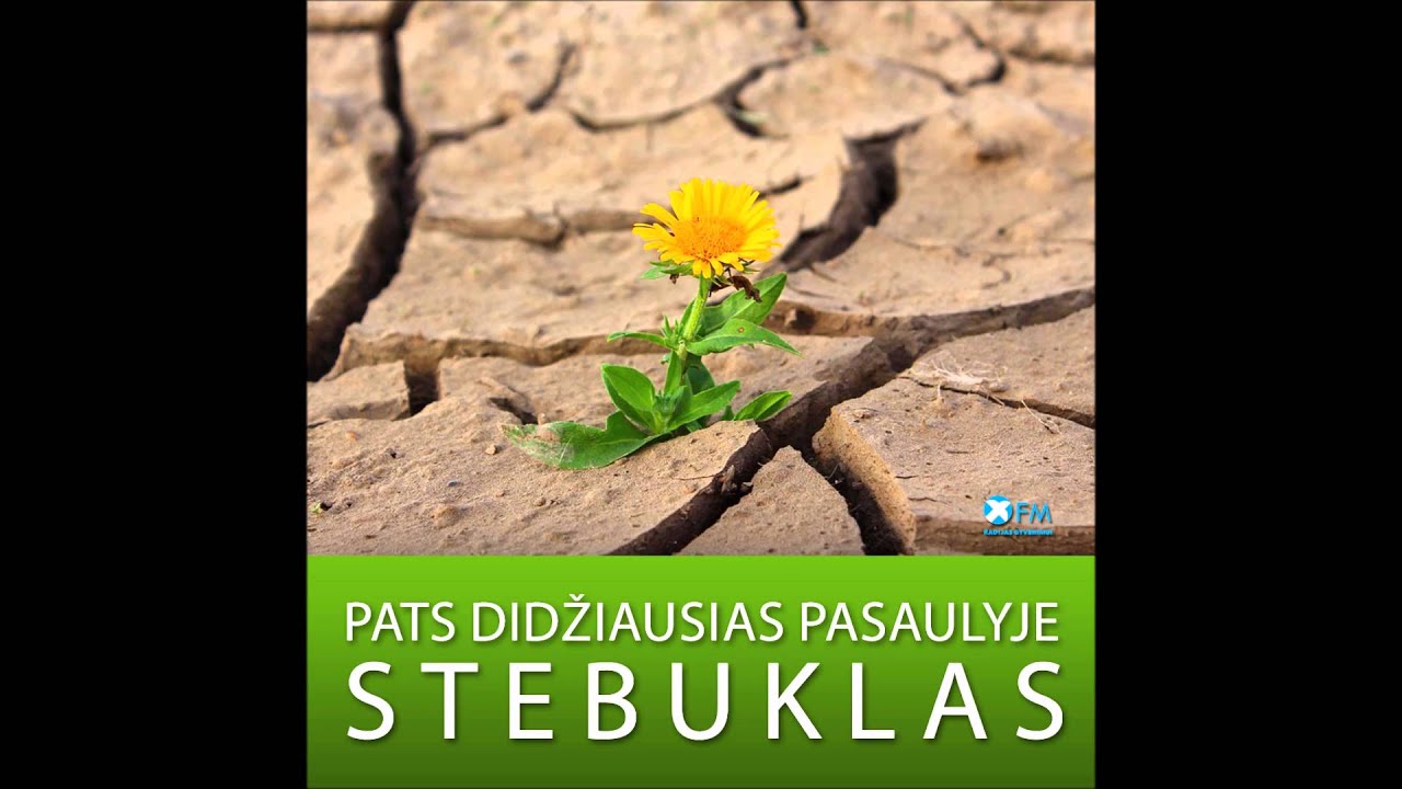 Iš mirties į gyvenimą: Pats didžiausias pasaulyje stebuklas