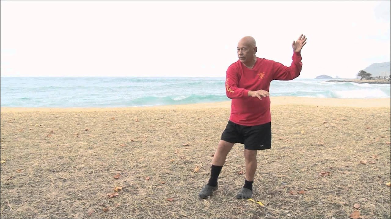 Tai Chi with Poka Laenui in Hawaii
