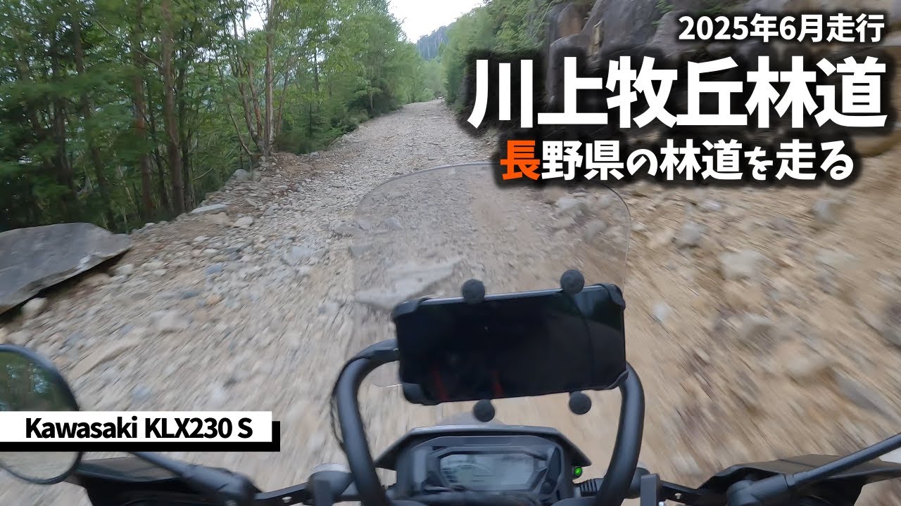 【長野県の林道】川上牧丘林道を探検しました 2025年6月19日走行【KLX230S】