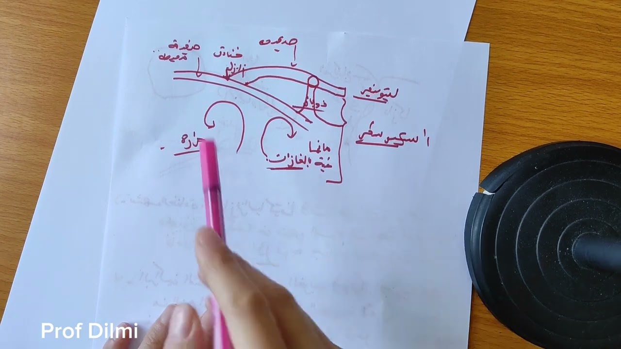 اختبار مقترح بقوة في الفصل الاول سنة ثالثة متوسط علوم طبيعية