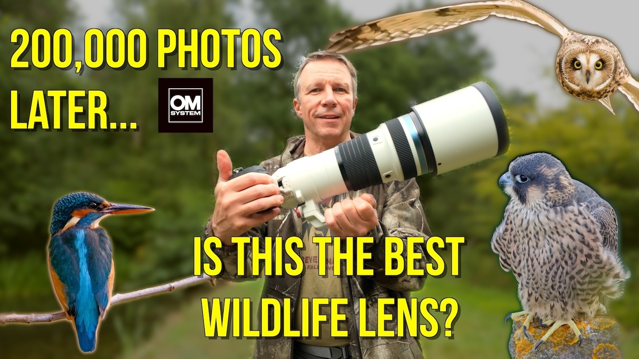 OM System (Olympus) 150-400mm F4.5 TC1.25x IS PRO Long-Term Review : The Best Wildlife Lens?
