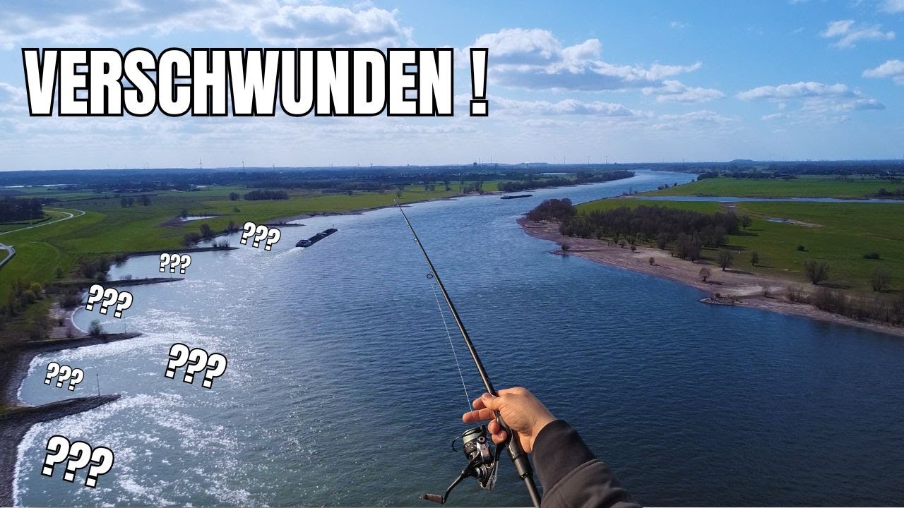 VERSCHWUNDEN !!! Wo sind die Fische???
