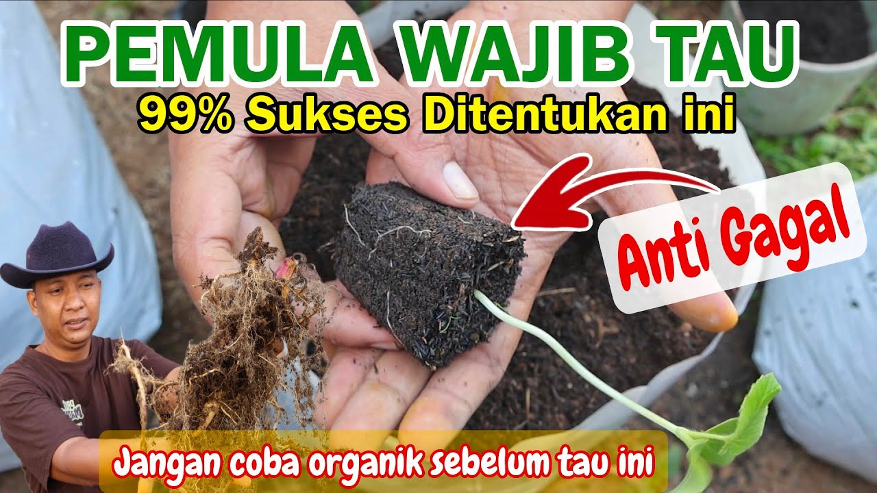 99% PEMULA SUKSES MENANAM DENGAN SATU TIPS INI..!!! 