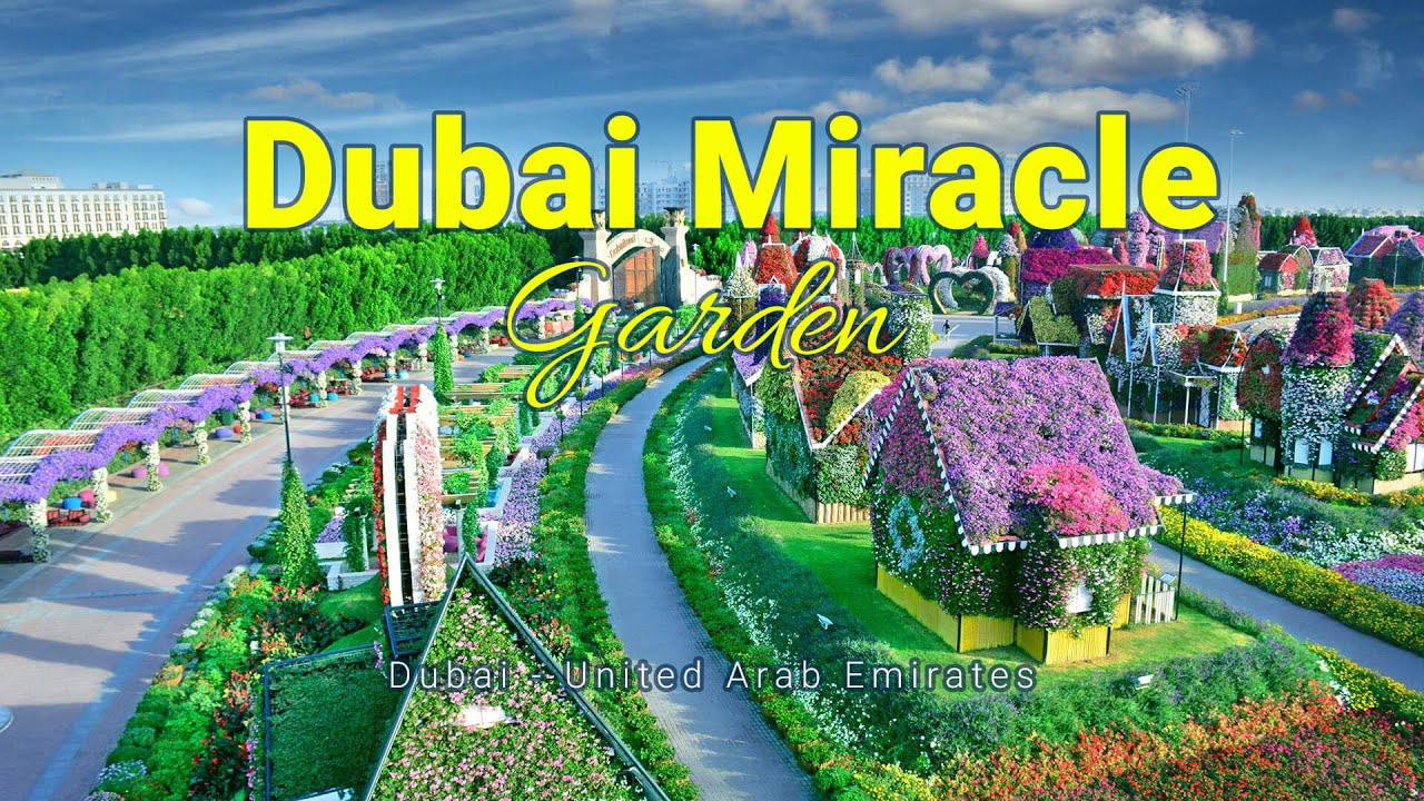 Dubai Miracle Garden | Tour at night