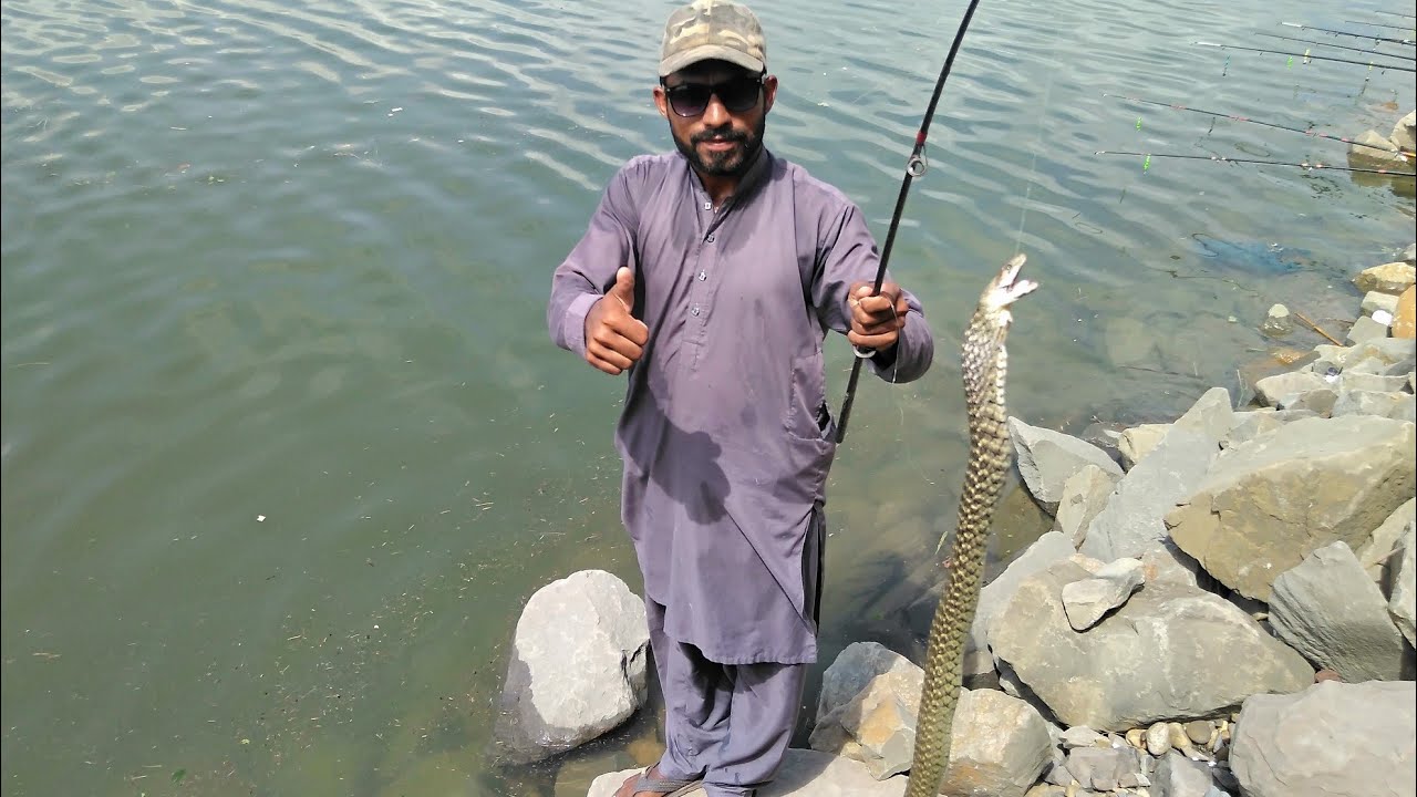 Snake hunting just fun Mangla Dam Fishing Muhammad Saad