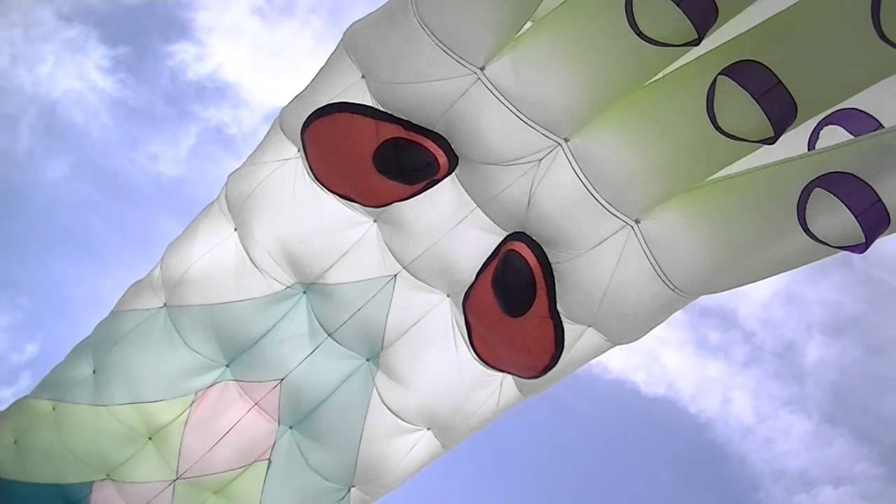 Callaway Kite Flight 2015