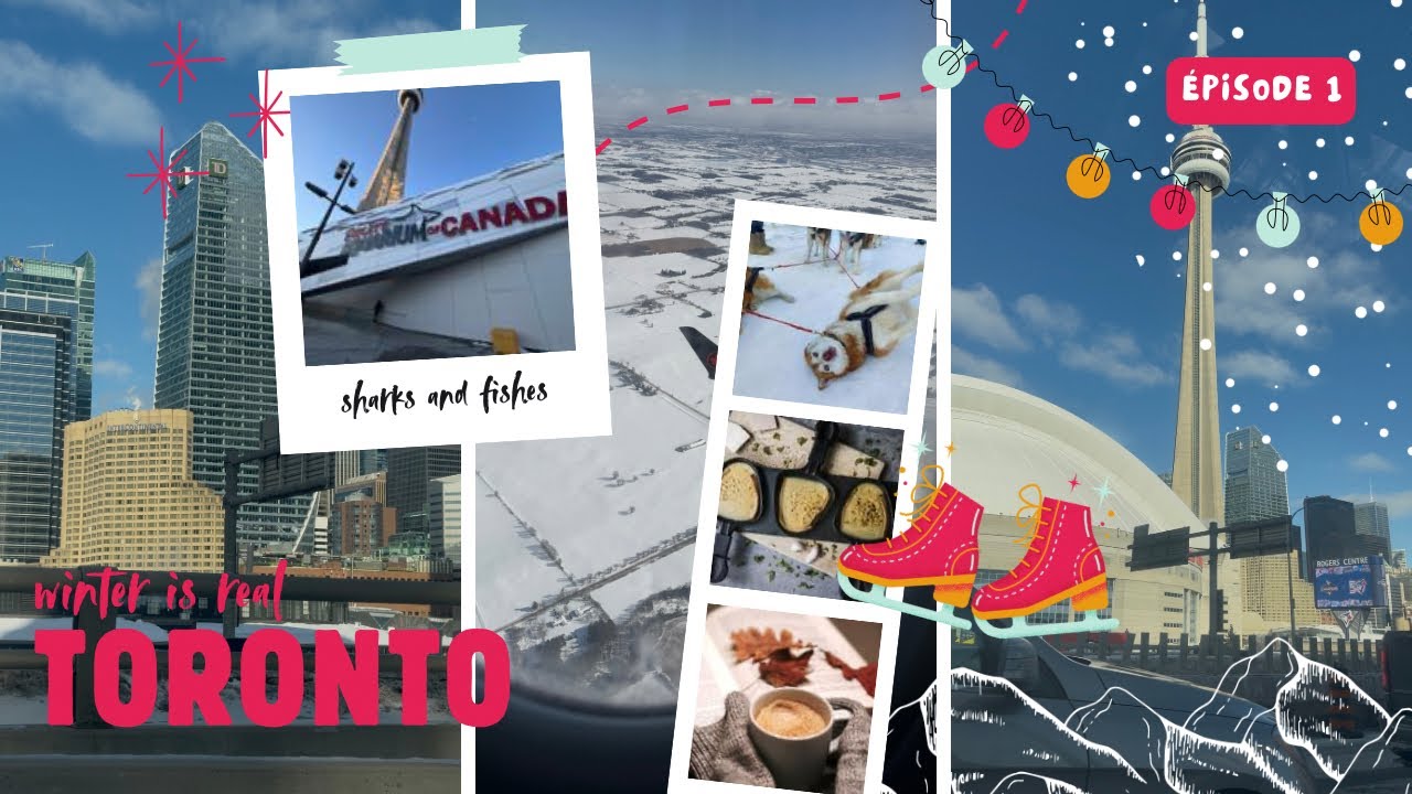 MY BIRTHDAY TRIP TO TORONTO | MEET SHADOW’S FAMILY 