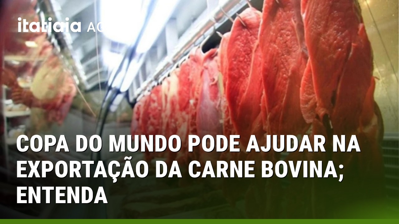 COPA DO MUNDO PODE IMPULSIONAR EXPORTAÇÃO DE CRANE BOVINA