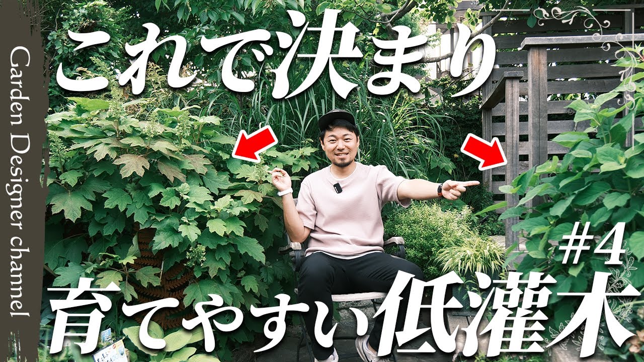 【初心者必見！】お庭好きの強い味方！特性別の低灌木を4つ紹介！【植物】【植栽】【Introduce four low shrubs.】