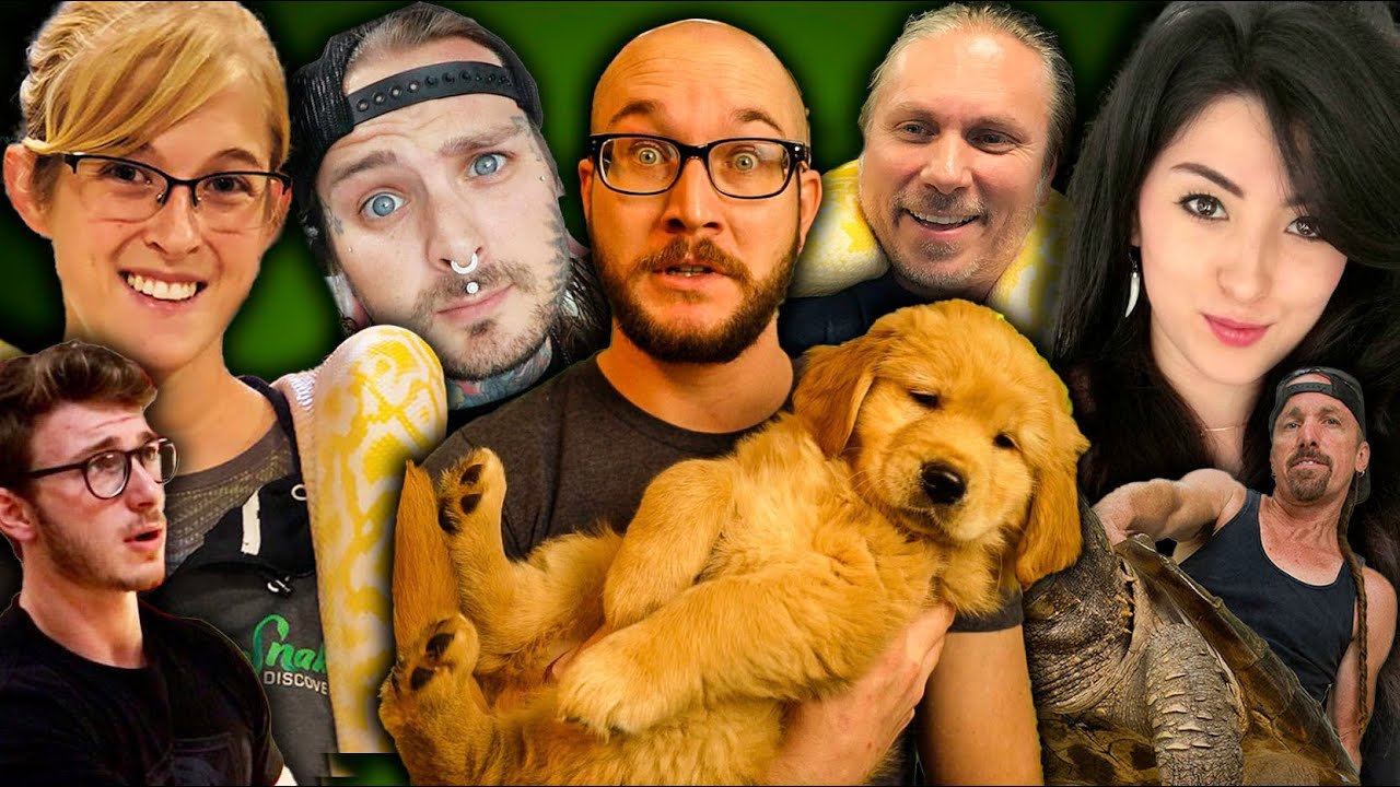 ЛУЧШИЕ и ХУДШИЕ YouTube-блогеры, посвященные рептилиям, и их влияние на хобби, связанное с рептил...