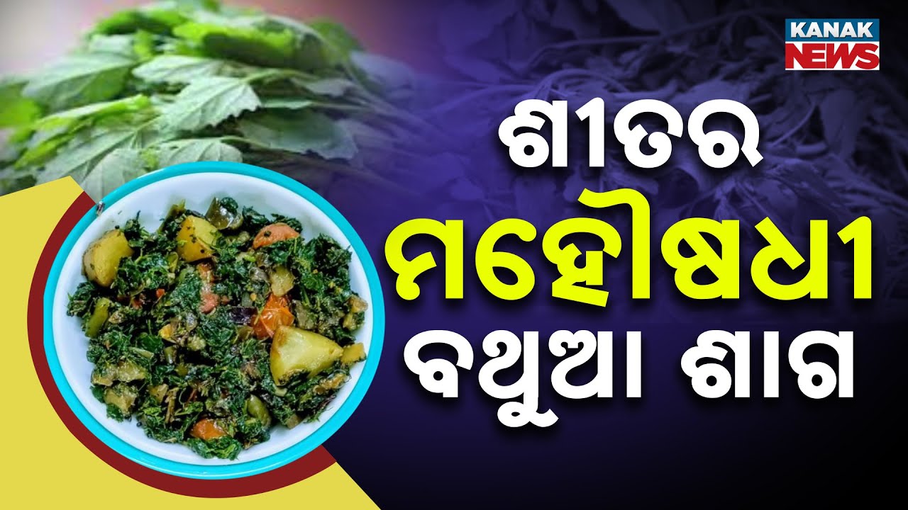 Special Report: Bathua Saag Benefits: Winter Superfood That Cures Many Diseases | Who Should Avoid?